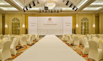 會(huì)議服務(wù) 從基礎(chǔ)會(huì)議到綜合展覽的專業(yè)化支持